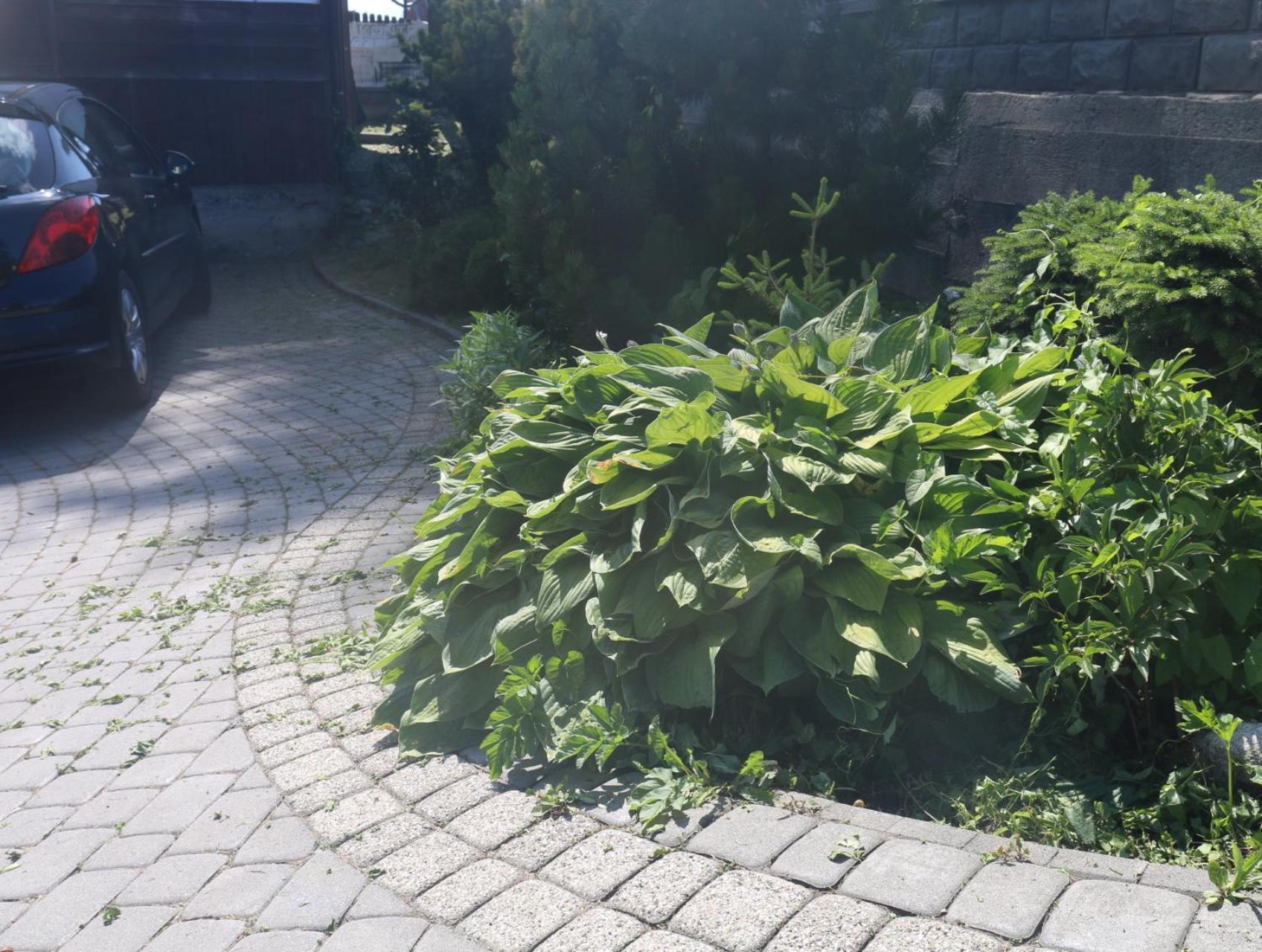 Smyrecek-Centrum Bukowiny Bukowina Tatrzańska Extérieur photo