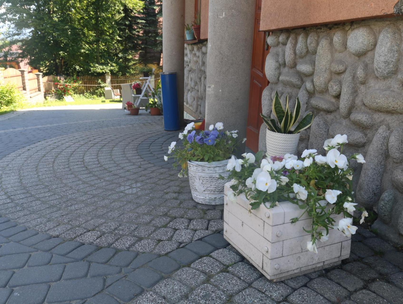 Smyrecek-Centrum Bukowiny Bukowina Tatrzańska Extérieur photo
