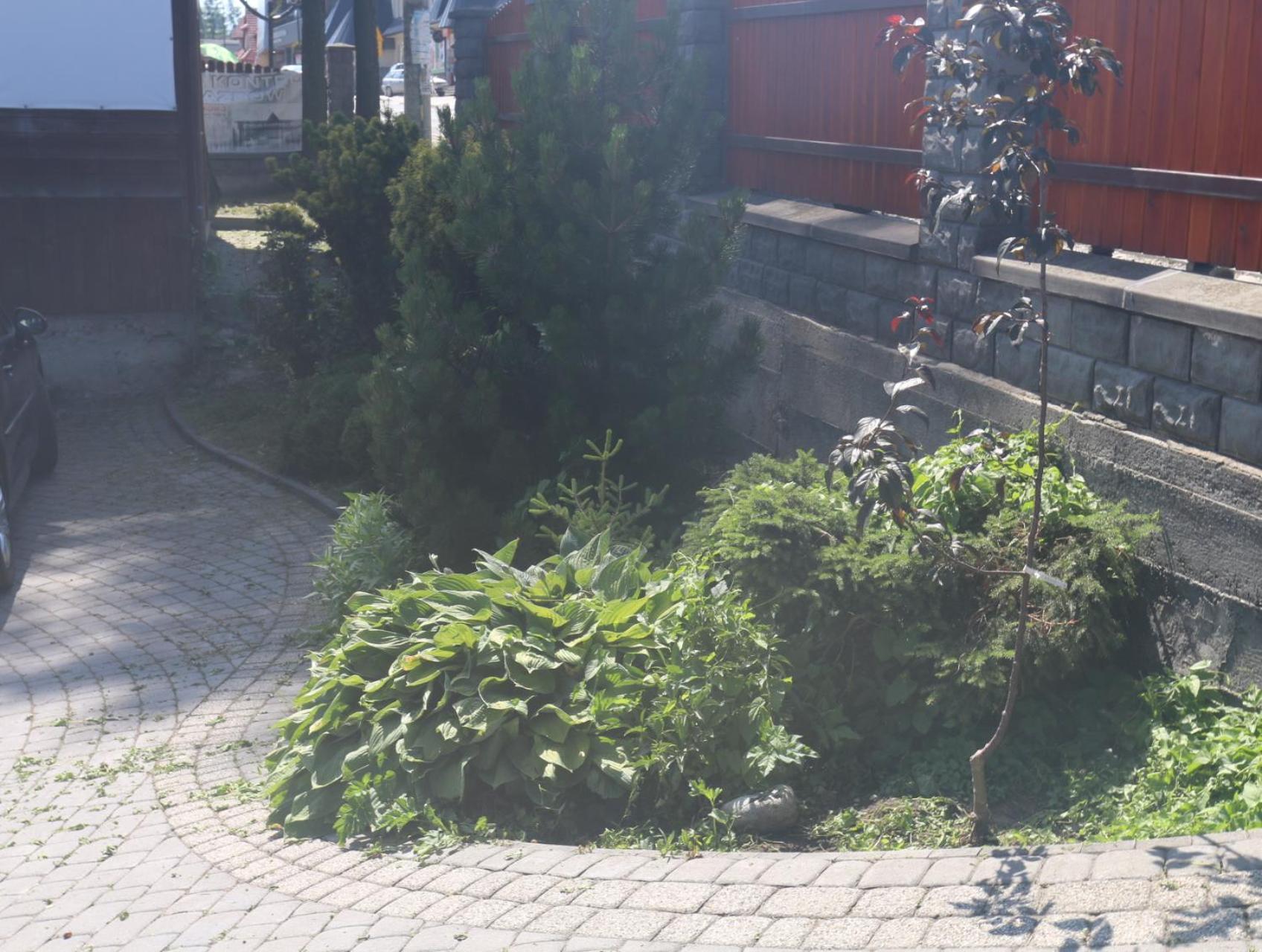 Smyrecek-Centrum Bukowiny Bukowina Tatrzańska Extérieur photo