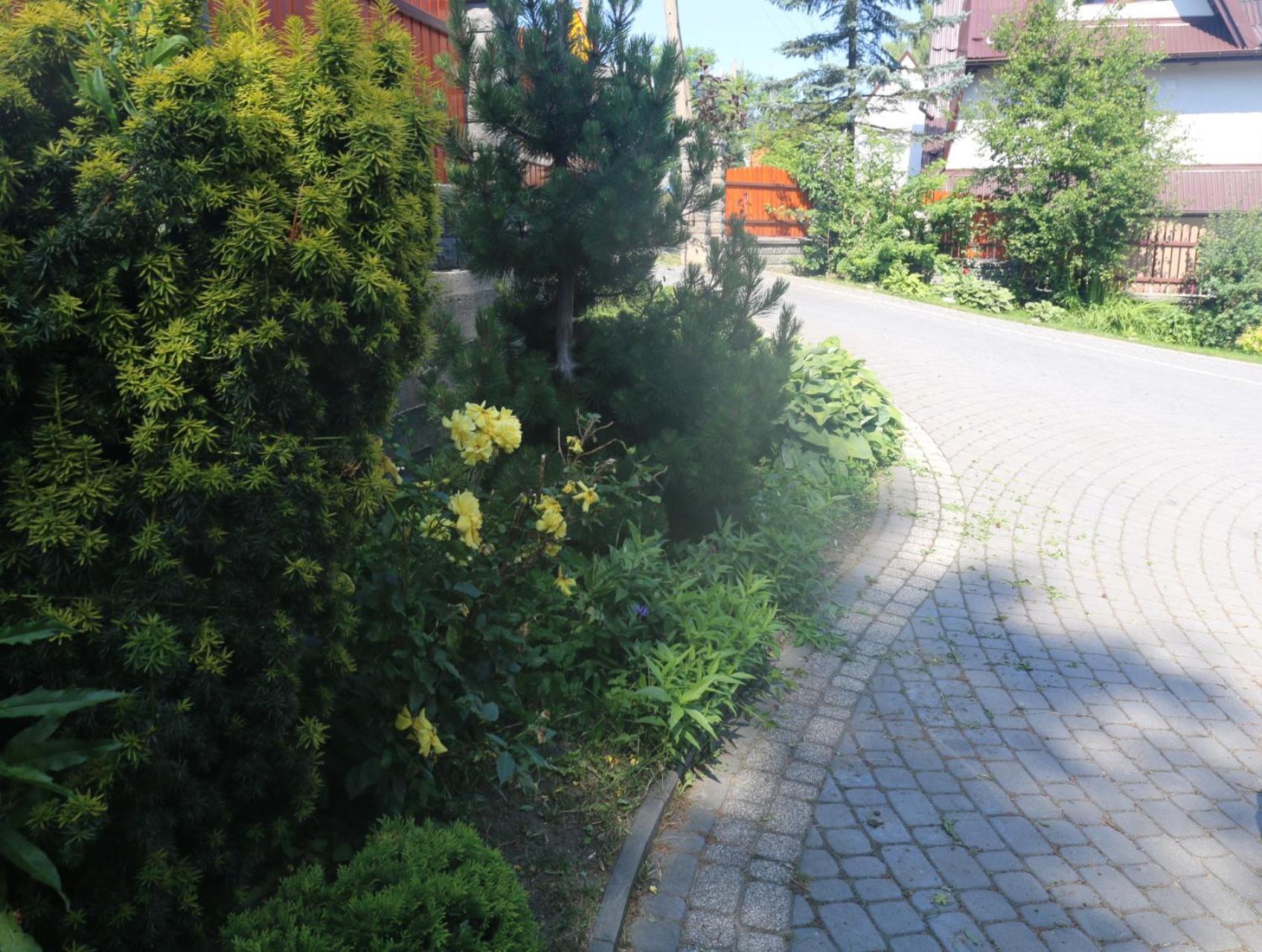 Smyrecek-Centrum Bukowiny Bukowina Tatrzańska Extérieur photo